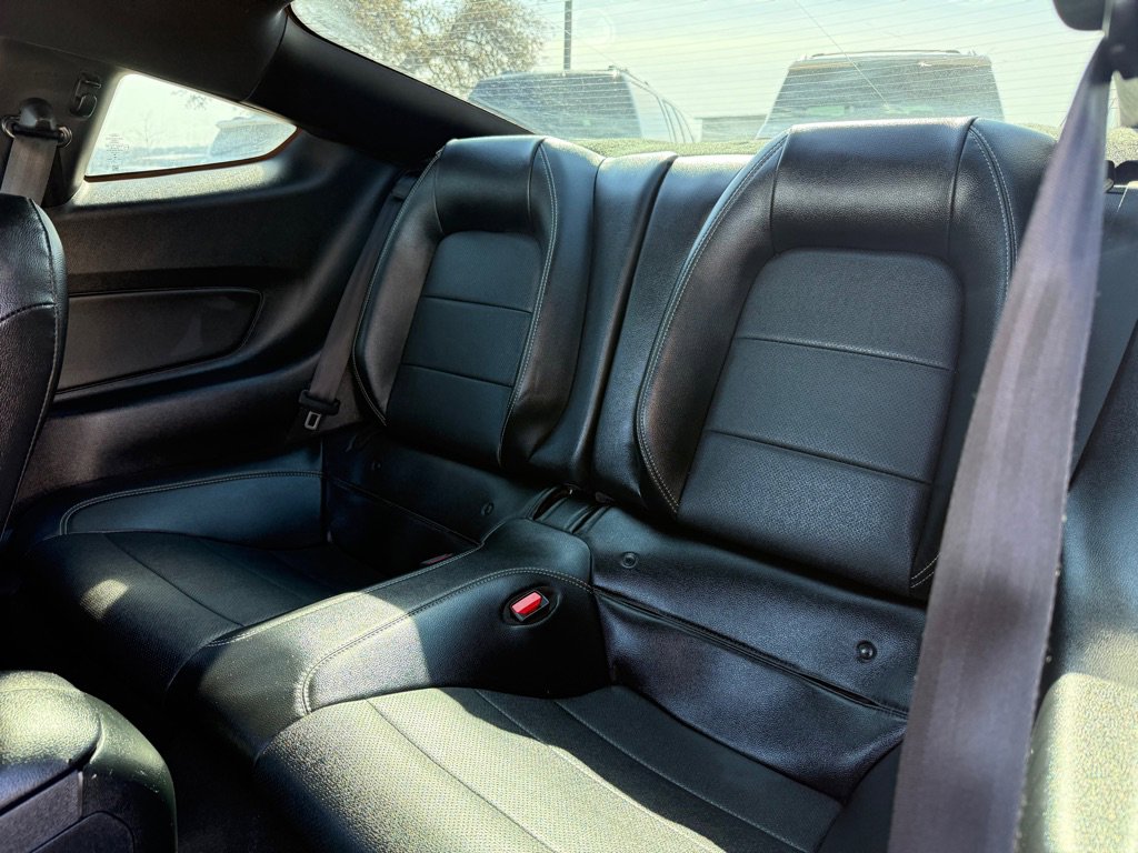 Used 2023 Ford Mustang Premium w/ Mustang Nite Pony Package image 13