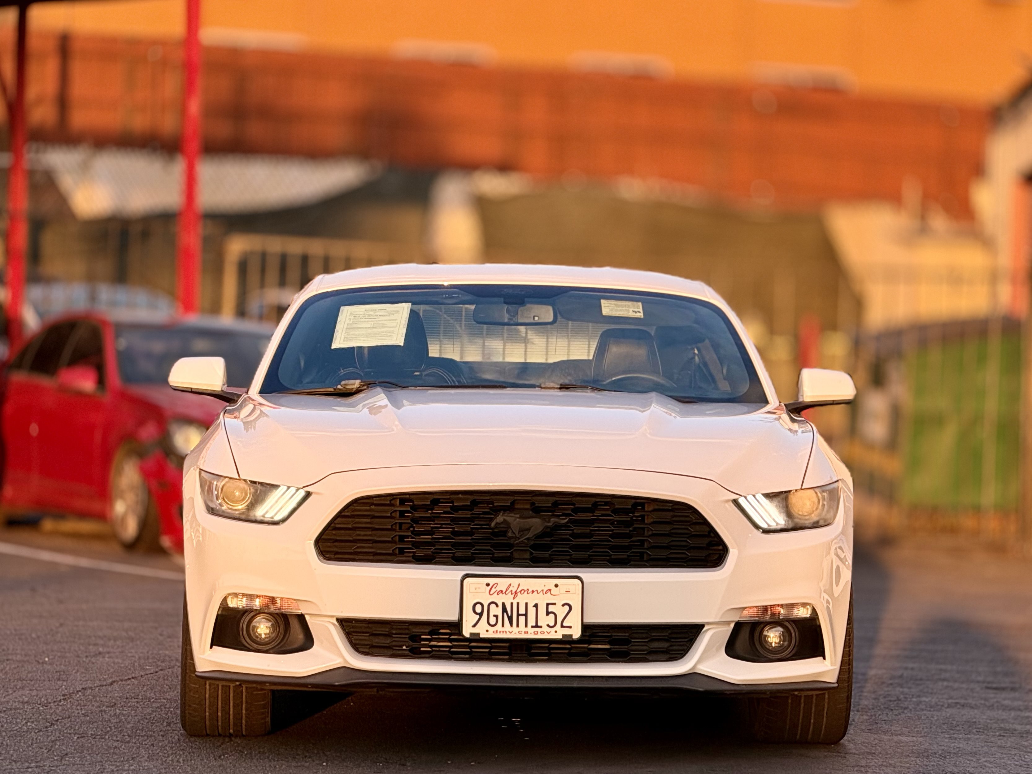 Used 2017 Ford Mustang Coupe RWD image 2