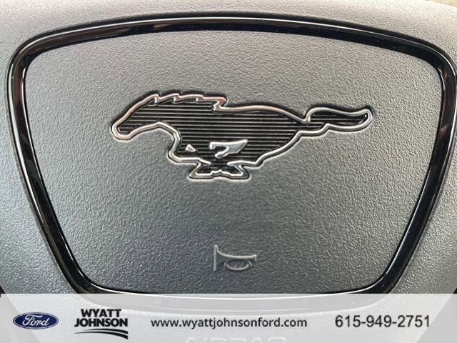 New 2026 Ford Mustang Mach-E Premium image 28