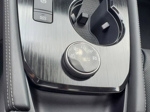 New 2025 Nissan Rogue Platinum w/ Platinum Premium Package image 27