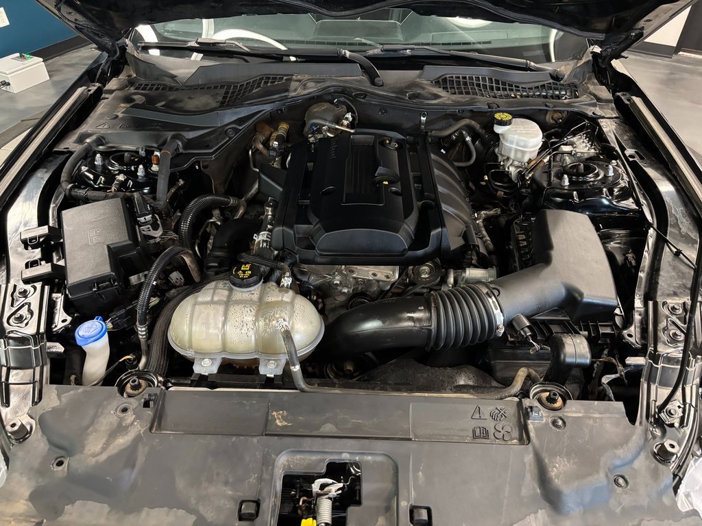 Used 2020 Ford Mustang Premium w/ Equipment Group 201A image 24