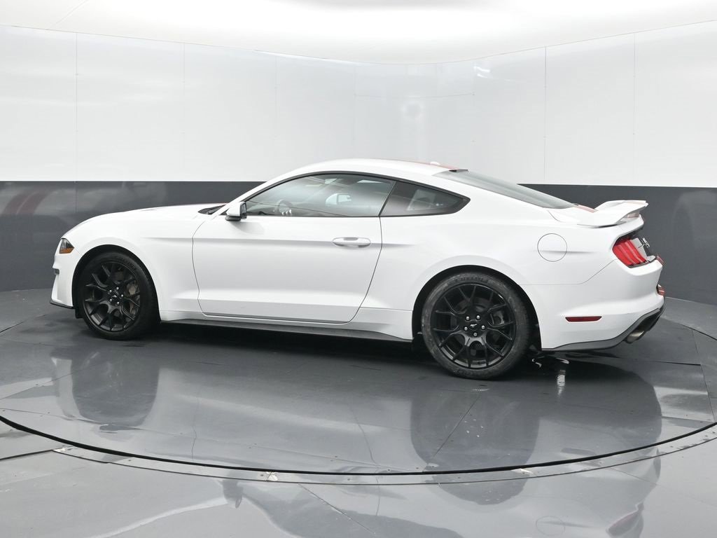 Used 2019 Ford Mustang Coupe w/ Ecoboost Performance Package image 13