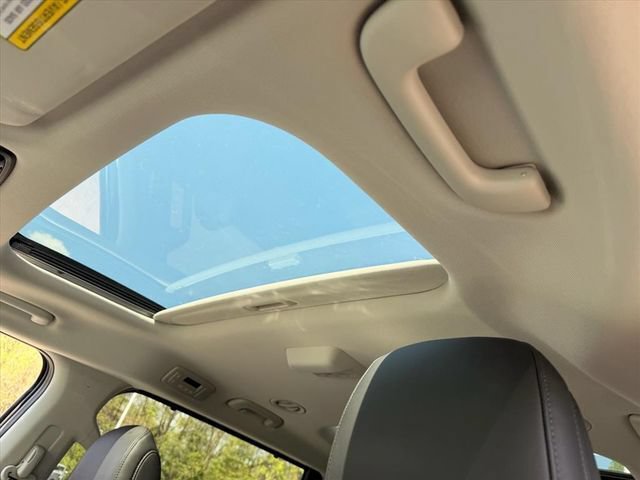 Used 2025 Kia Carnival SX w/ SX Dark Edition Package FWD image 20