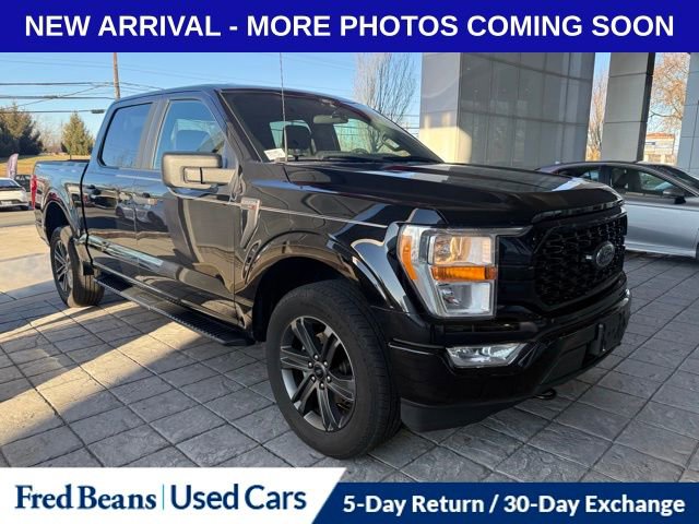 Used 2021 Ford F150 XL w/ STX Appearance Package video 2