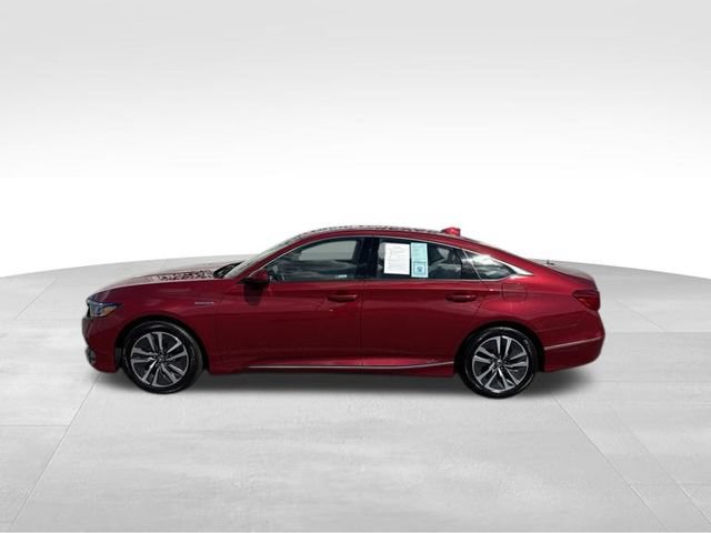 Used 2020 Honda Accord EX-L image 5