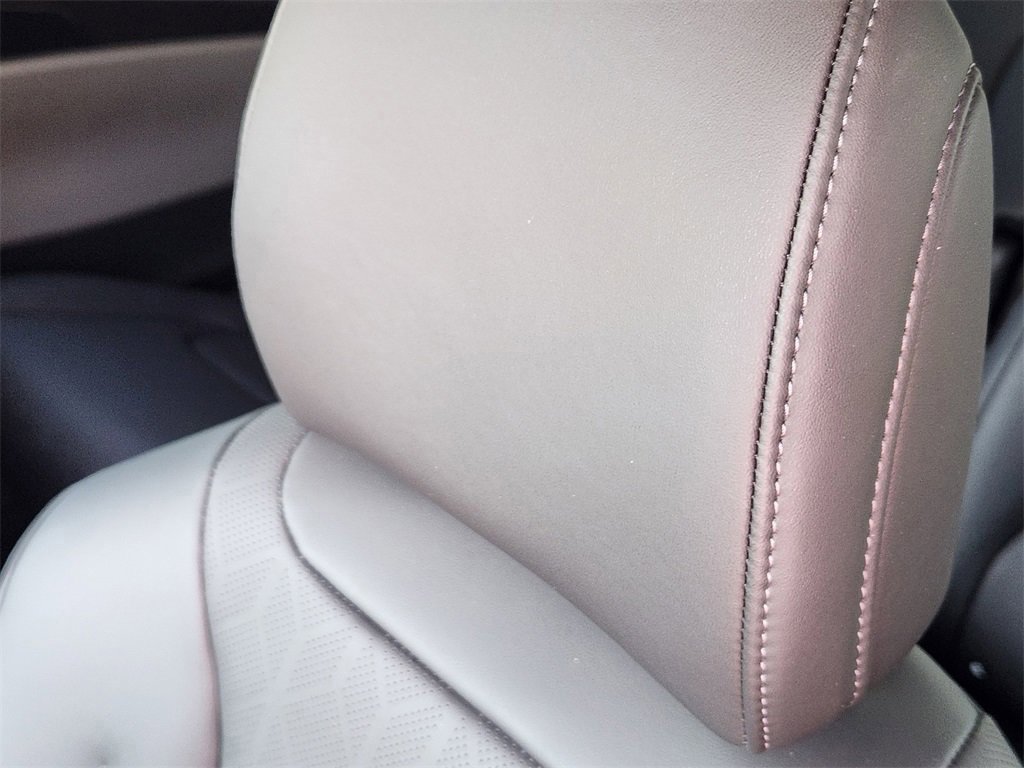 New 2026 Kia Carnival image 19