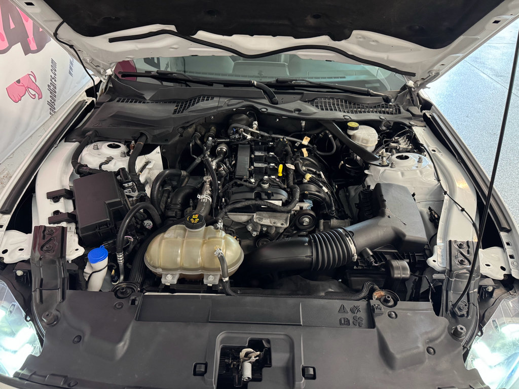 Used 2022 Ford Mustang Premium RWD image 7