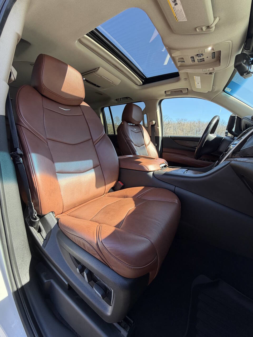 Used 2019 Cadillac Escalade ESV Luxury image 18