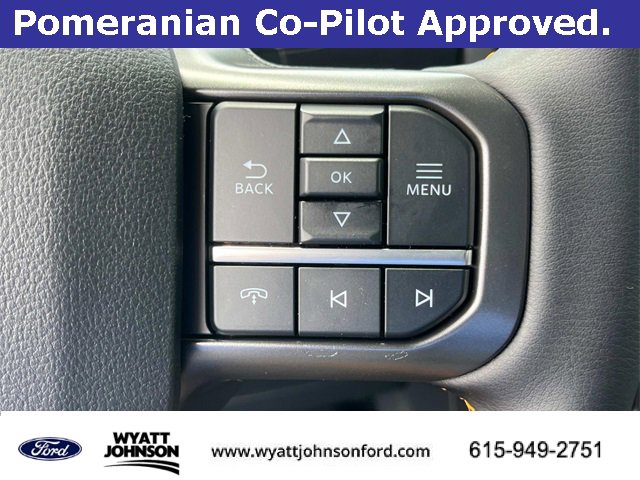 New 2025 Ford F150 Tremor w/ Bed Utility Package image 27
