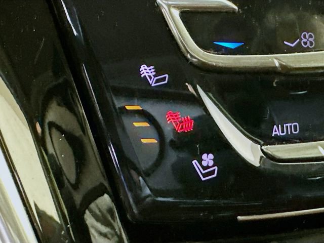 Used 2019 Cadillac Escalade ESV Premium Luxury image 22