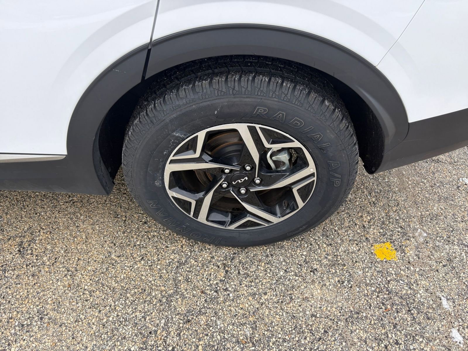 Used 2025 Kia Sportage LX image 29