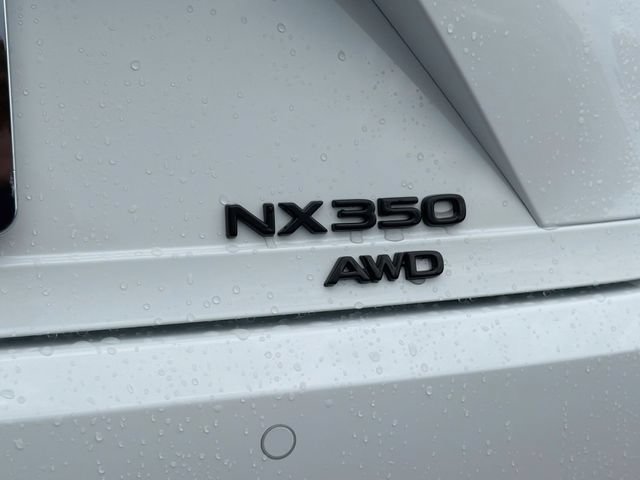 New 2026 Lexus NX 350 AWD w/ Cold Area Package image 11