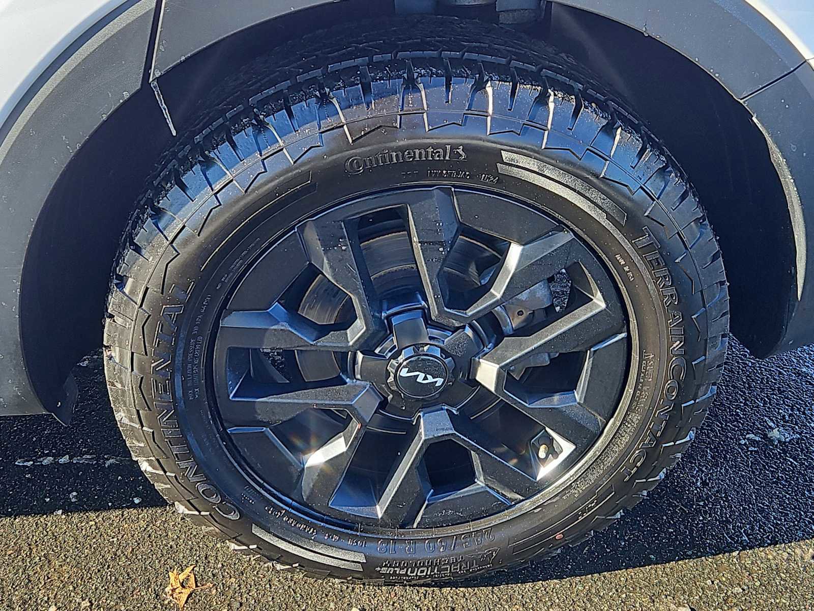 Used 2023 Kia Telluride SX Prestige X-Pro image 8