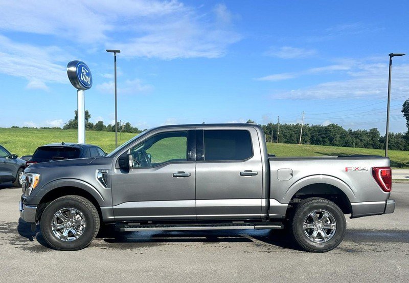 Used 2023 Ford F150 XLT w/ Equipment Group 302A High AWD/4WD image 5