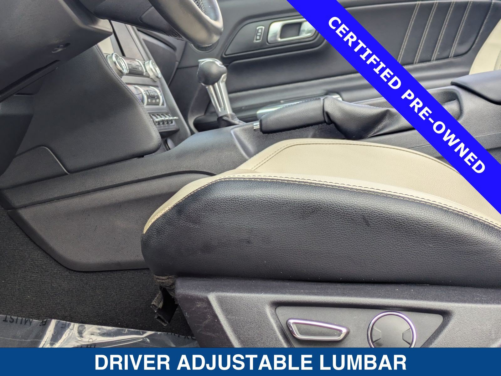 Certified 2019 Ford Mustang Premium RWD image 19