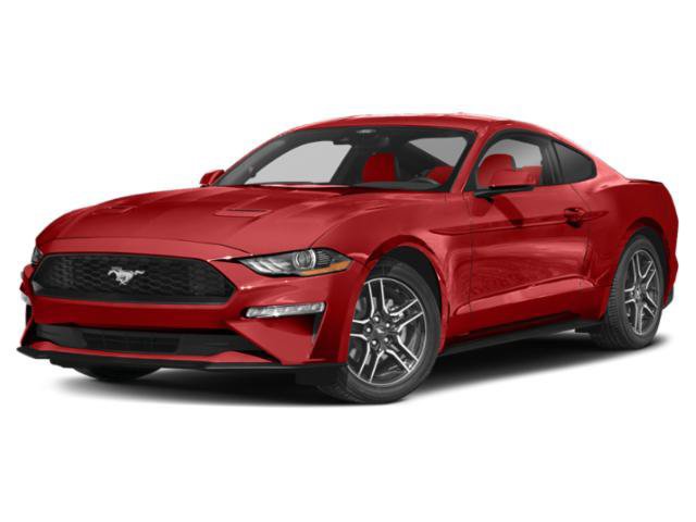 Used 2023 Ford Mustang Coupe w/ Equipment Group 101A RWD image 1