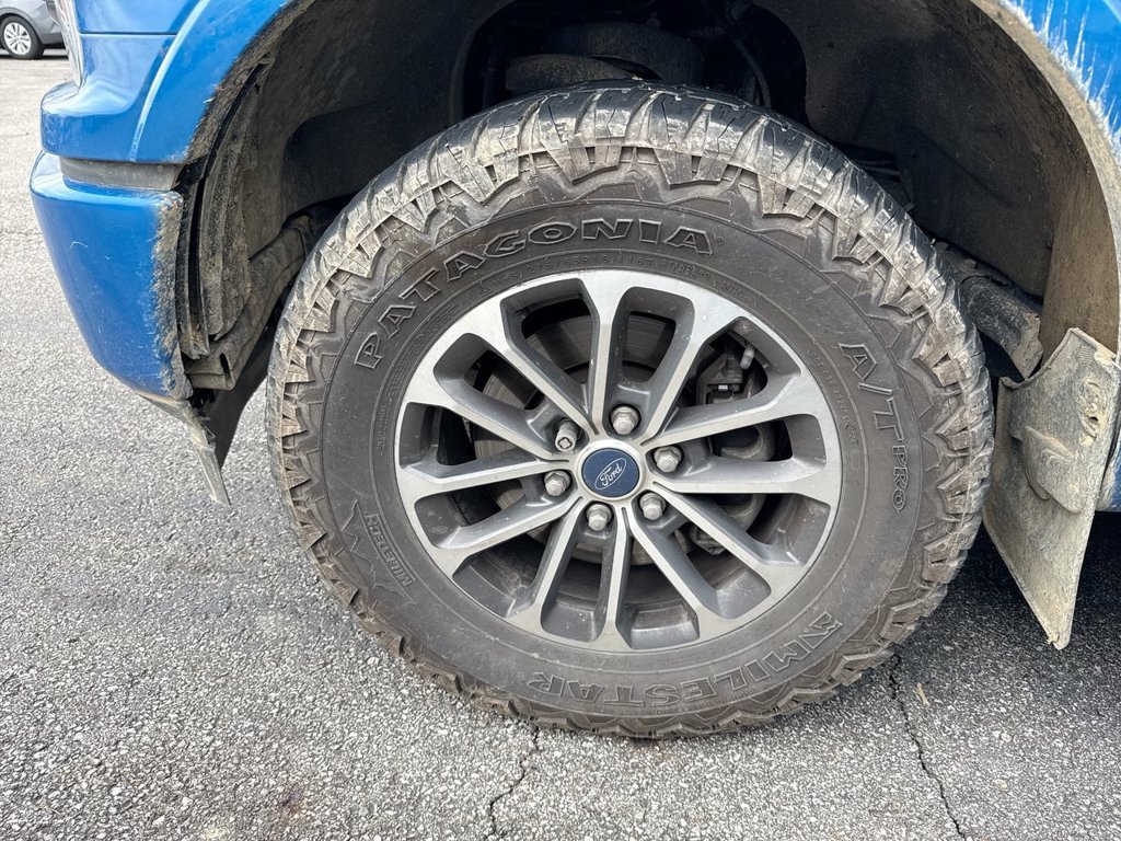 Used 2019 Ford F150 XLT w/ Equipment Group 301A Mid AWD/4WD image 4