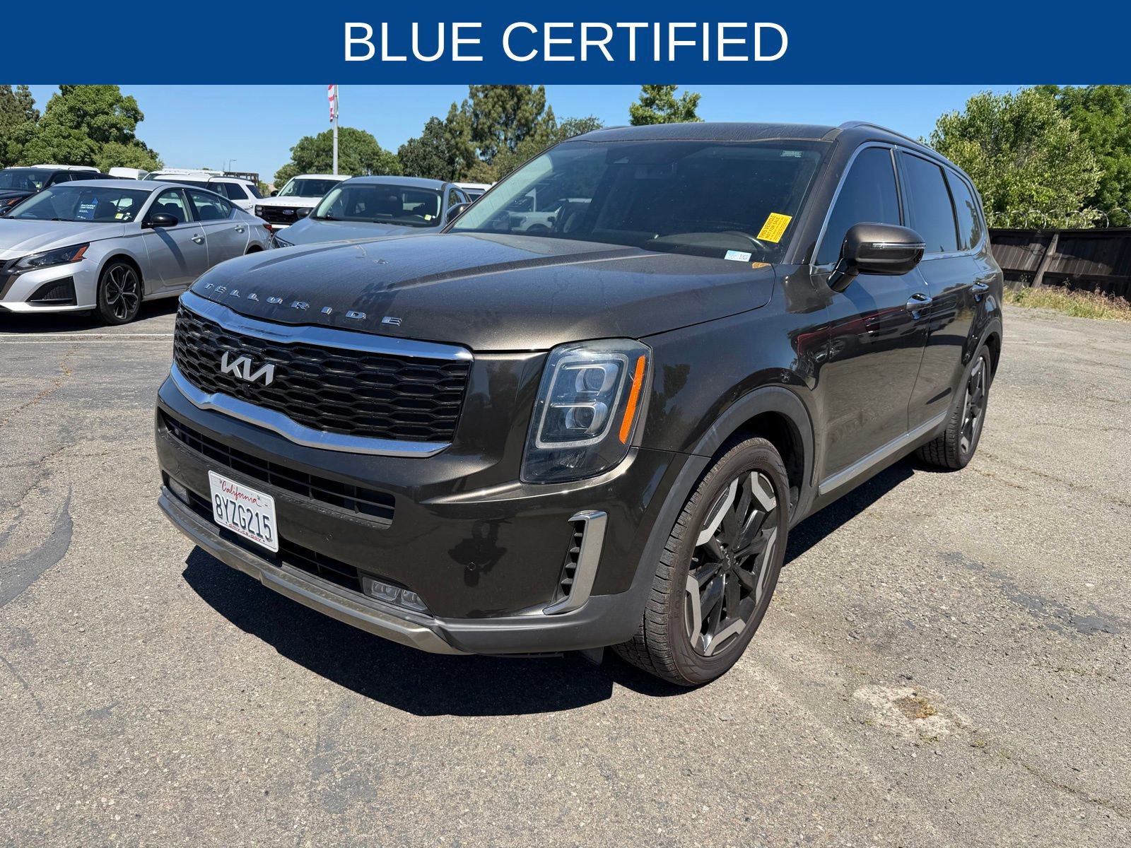 Used 2022 Kia Telluride SX w/ Towing Package image 1