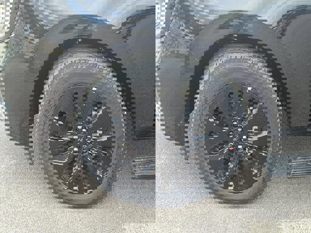 New 2025 Ford Expedition Platinum w/ Stealth Appearance Package image 24