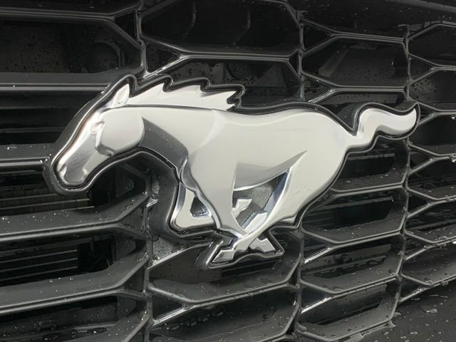 Used 2025 Ford Mustang Premium image 12