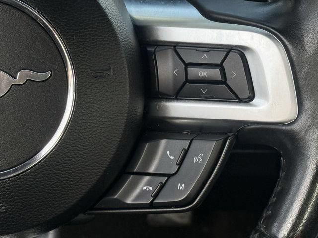Used 2019 Ford Mustang Premium RWD image 12