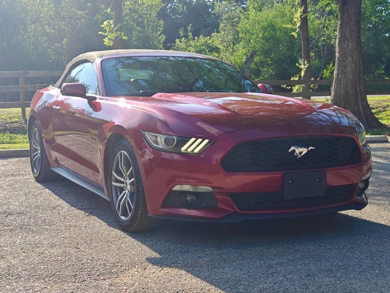 Used 2015 Ford Mustang Premium RWD image 1