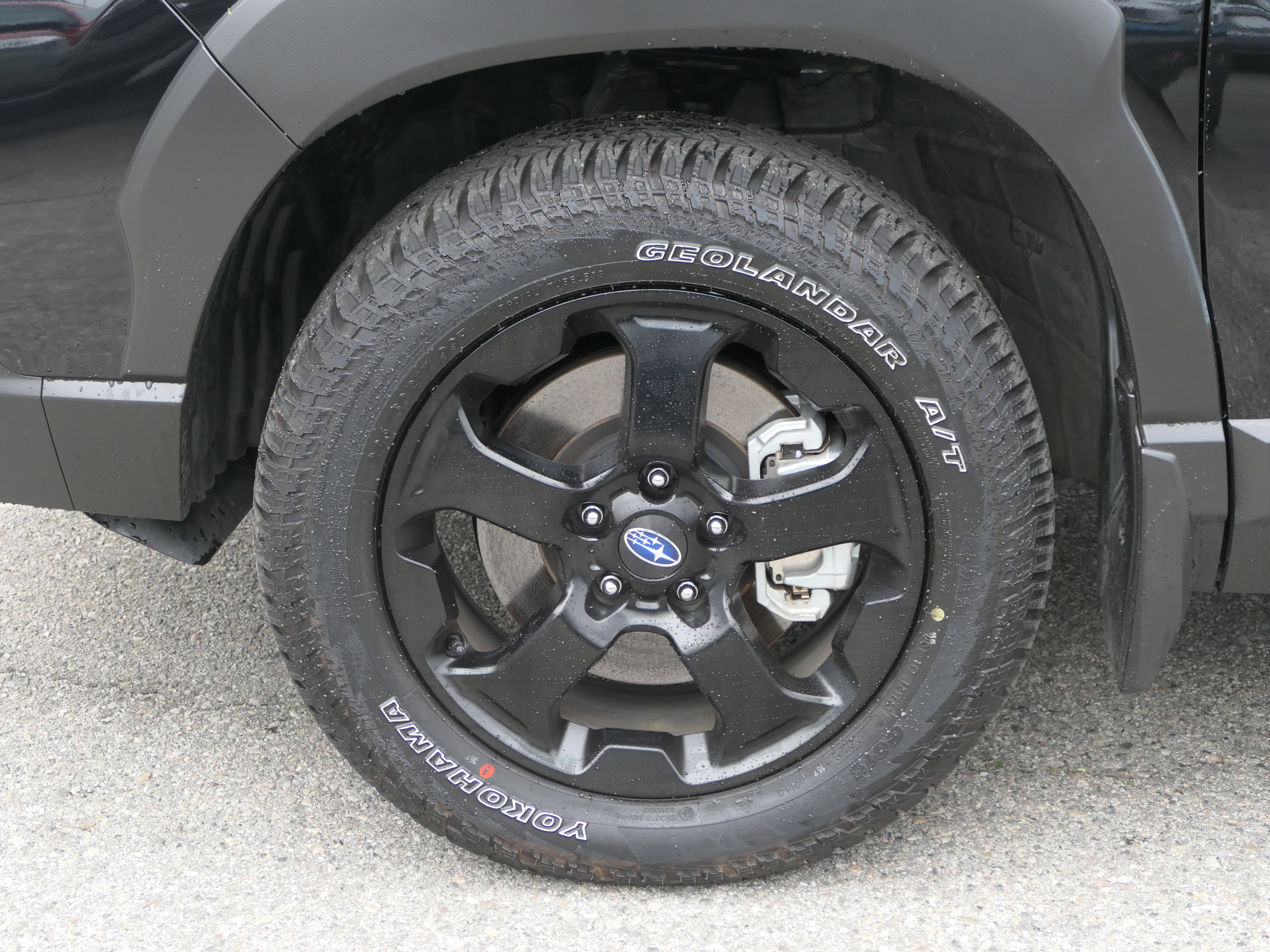 Certified 2025 Subaru Forester Wilderness image 10