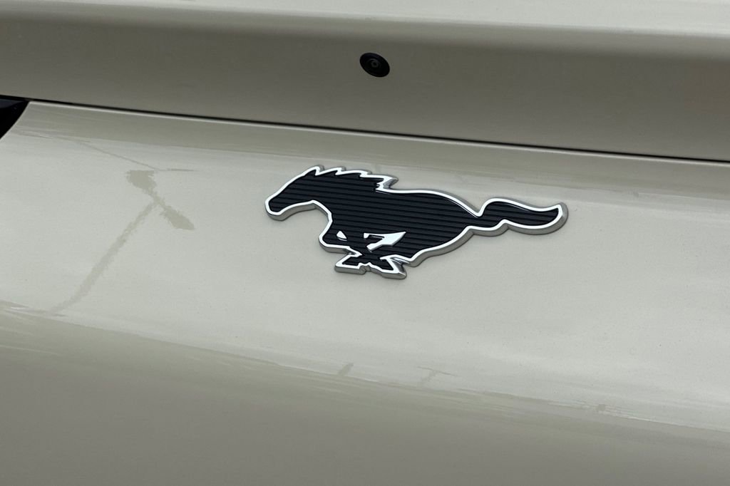 New 2025 Ford Mustang Mach-E Premium image 7