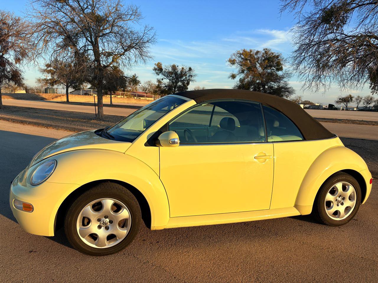 Used 2003 Volkswagen Beetle GLS image 49
