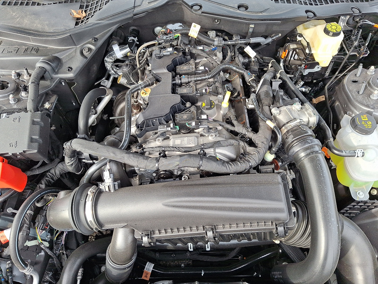 Used 2026 Ford Mustang Premium RWD image 26