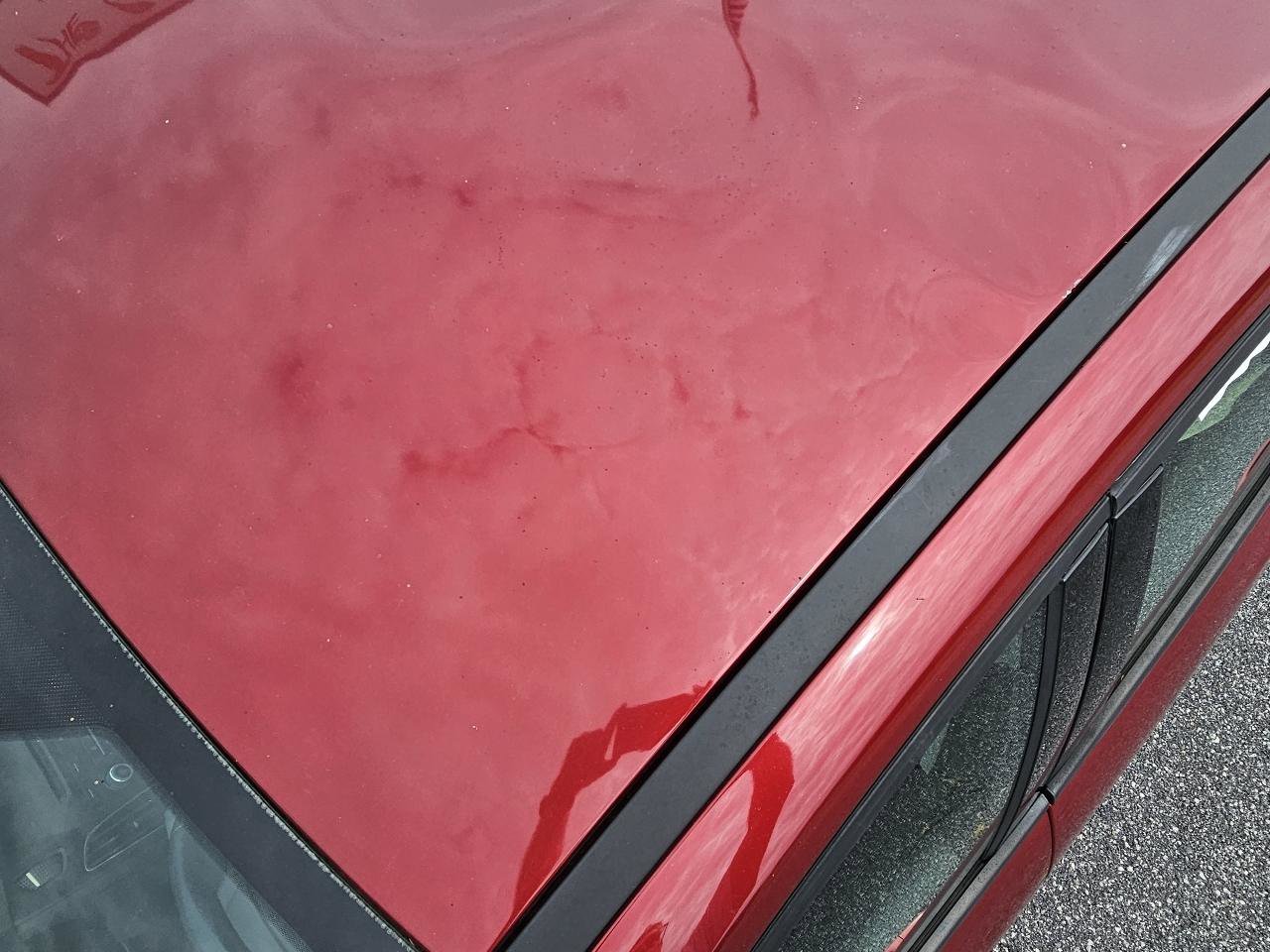 Used 2015 Ford Focus SE w/ Equipment Group 201A image 18