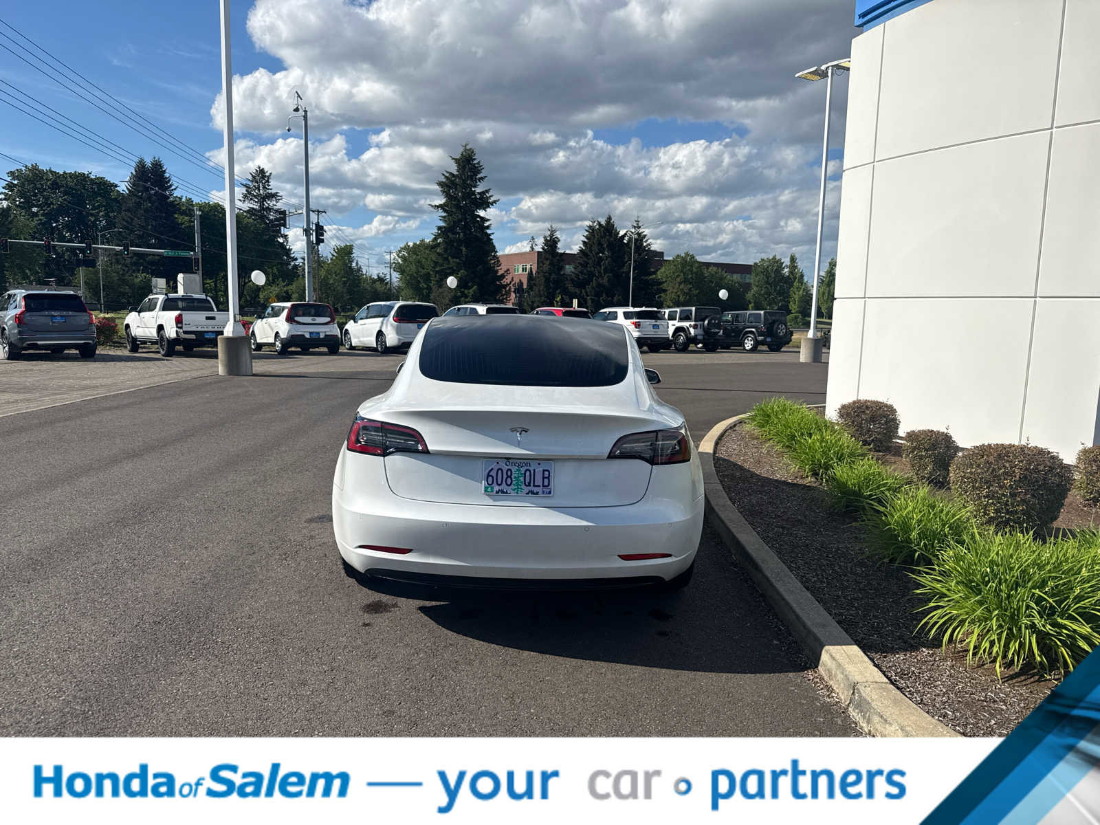 Used 2020 Tesla Model 3 Standard Range Plus RWD image 5