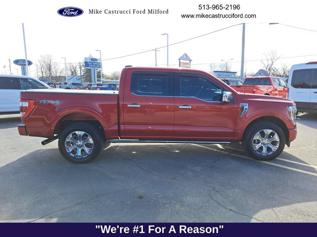 Used 2023 Ford F150 Platinum w/ Equipment Group 701A High AWD/4WD image 6