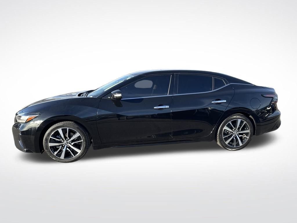 Used 2023 Nissan Maxima SV w/ Floor Mat Group image 2
