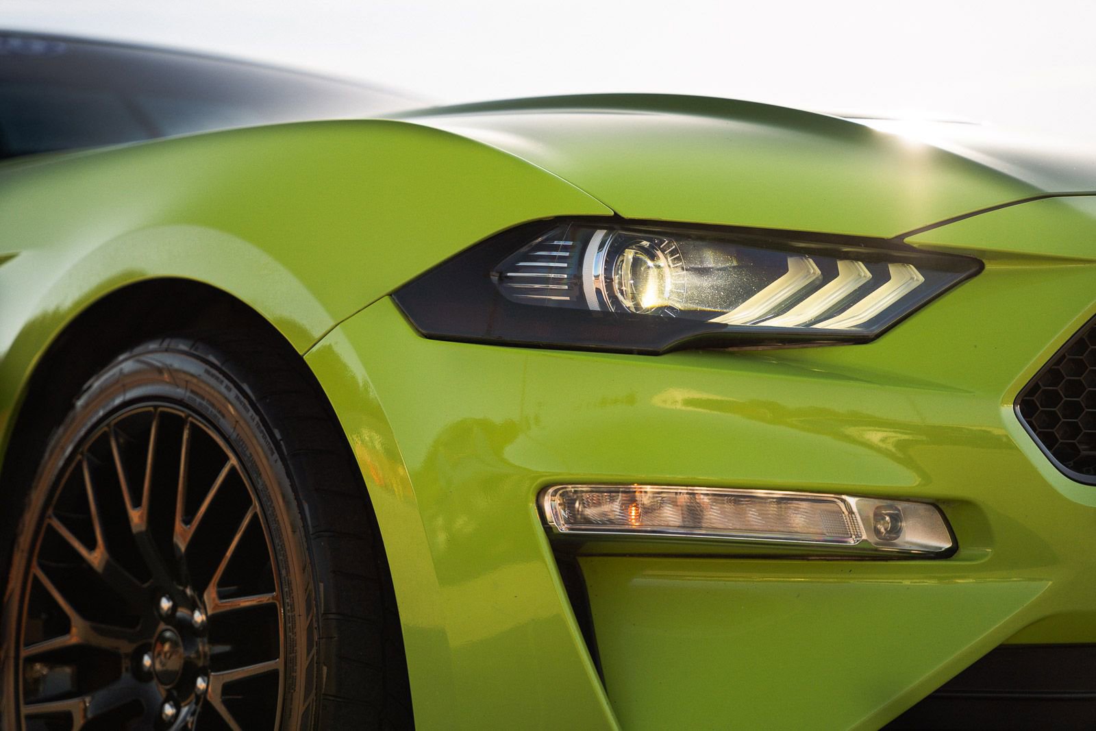 Used 2020 Ford Mustang GT w/ GT Performance Package image 18