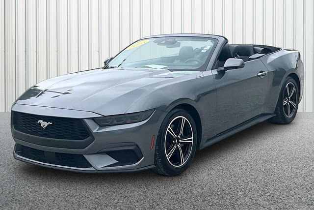 Used 2025 Ford Mustang Premium RWD image 2