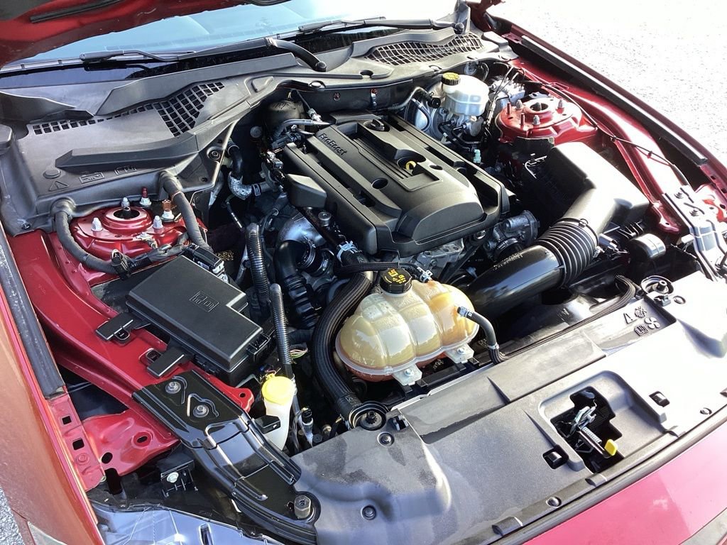 Used 2019 Ford Mustang Premium w/ Enhanced Security Package image 17