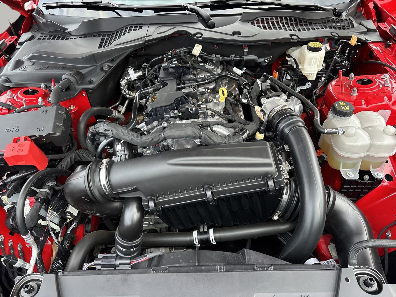 Certified 2024 Ford Mustang Premium image 27