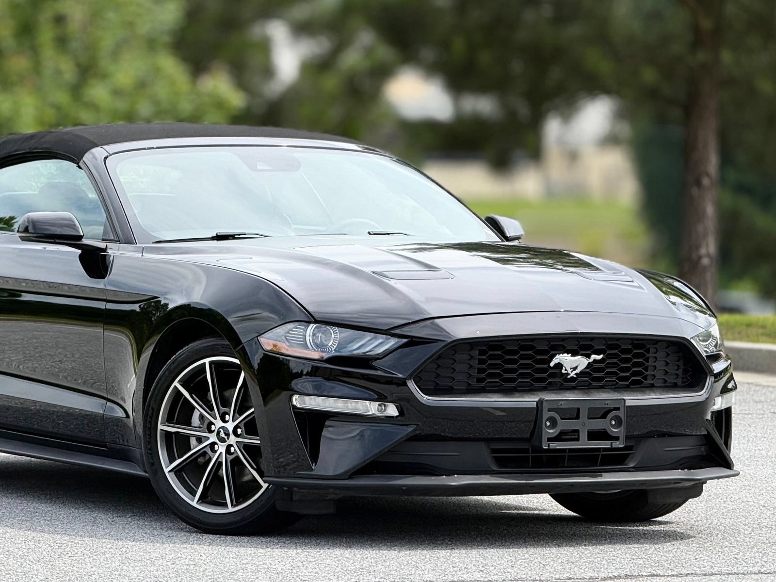 Used 2019 Ford Mustang Premium w/ Equipment Group 201A RWD image 42
