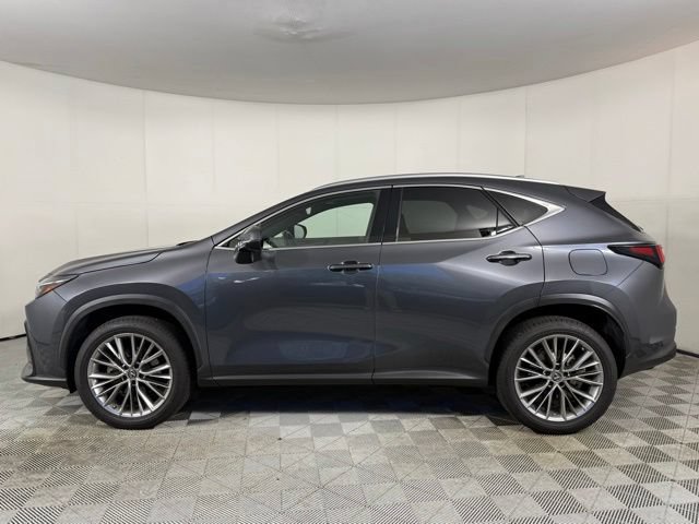 Certified 2022 Lexus NX 350 AWD image 3