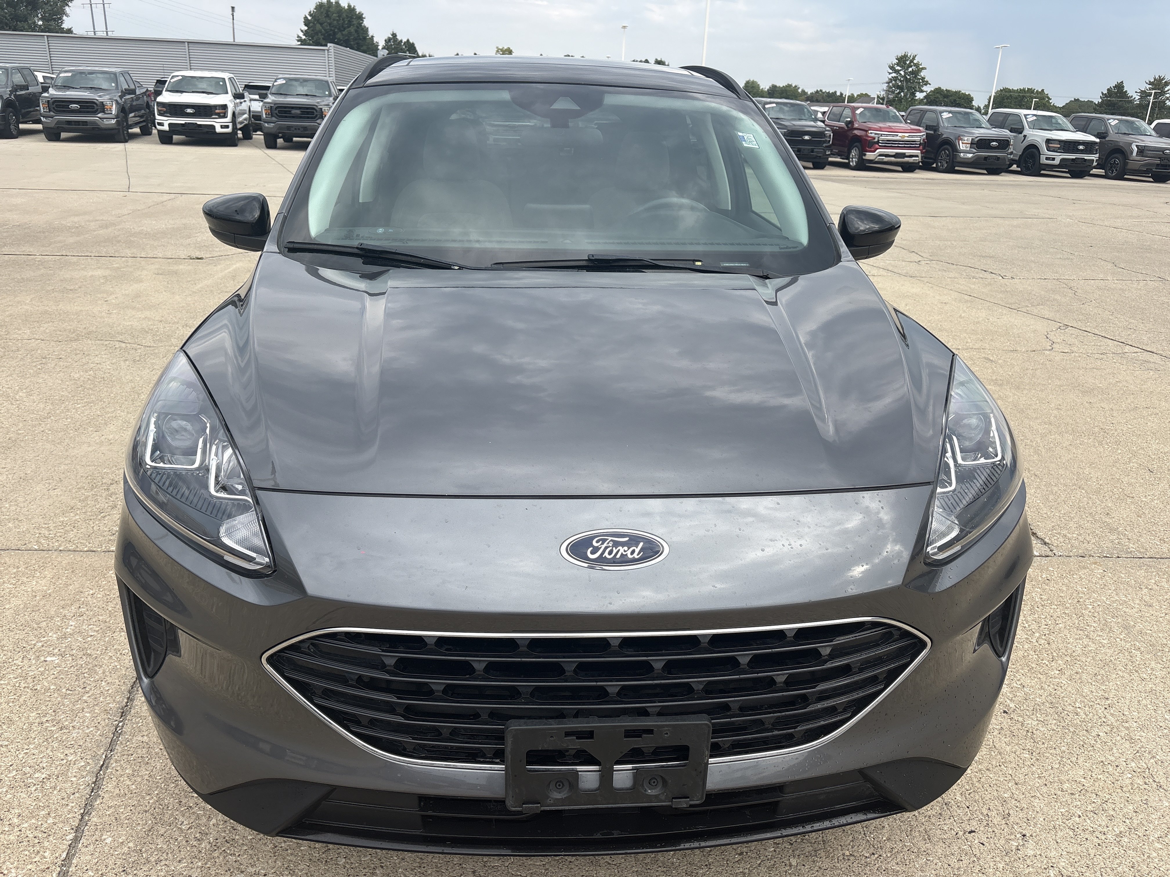 Used 2021 Ford Escape SE w/ SE Sport Appearance Package FWD image 2
