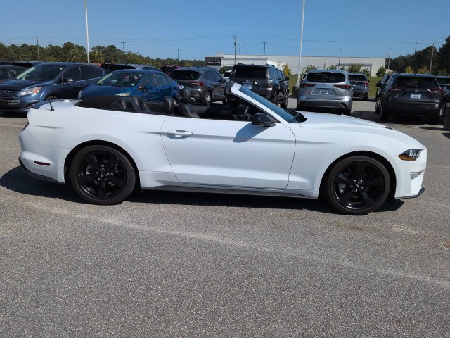 Used 2023 Ford Mustang Premium w/ Equipment Group 201A RWD image 3