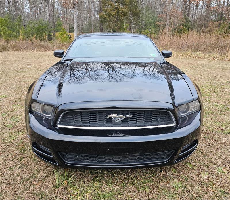 Used 2014 Ford Mustang Premium RWD image 2