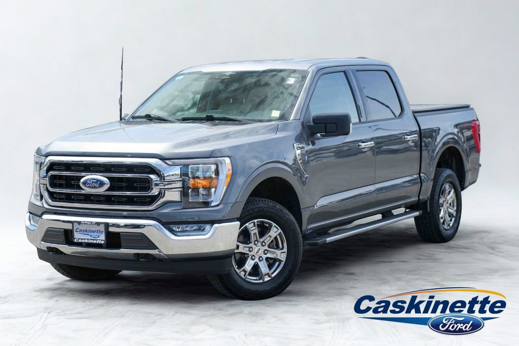 Used 2023 Ford F150 XLT w/ Equipment Group 302A High AWD/4WD image 1