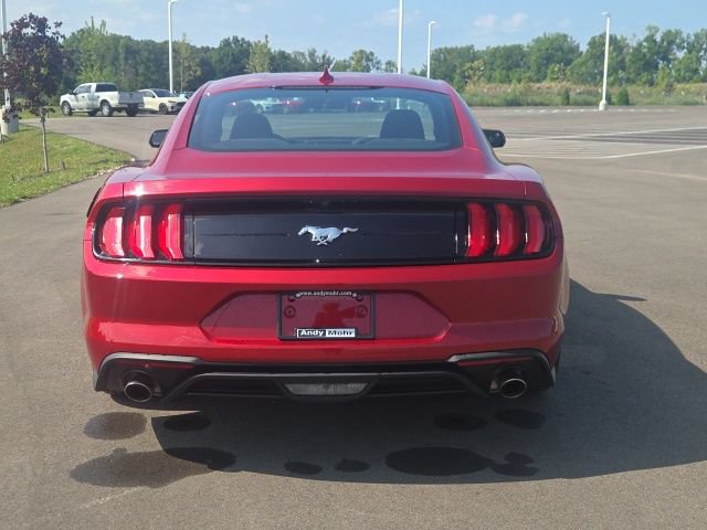 Used 2023 Ford Mustang Coupe w/ Equipment Group 101A RWD image 9