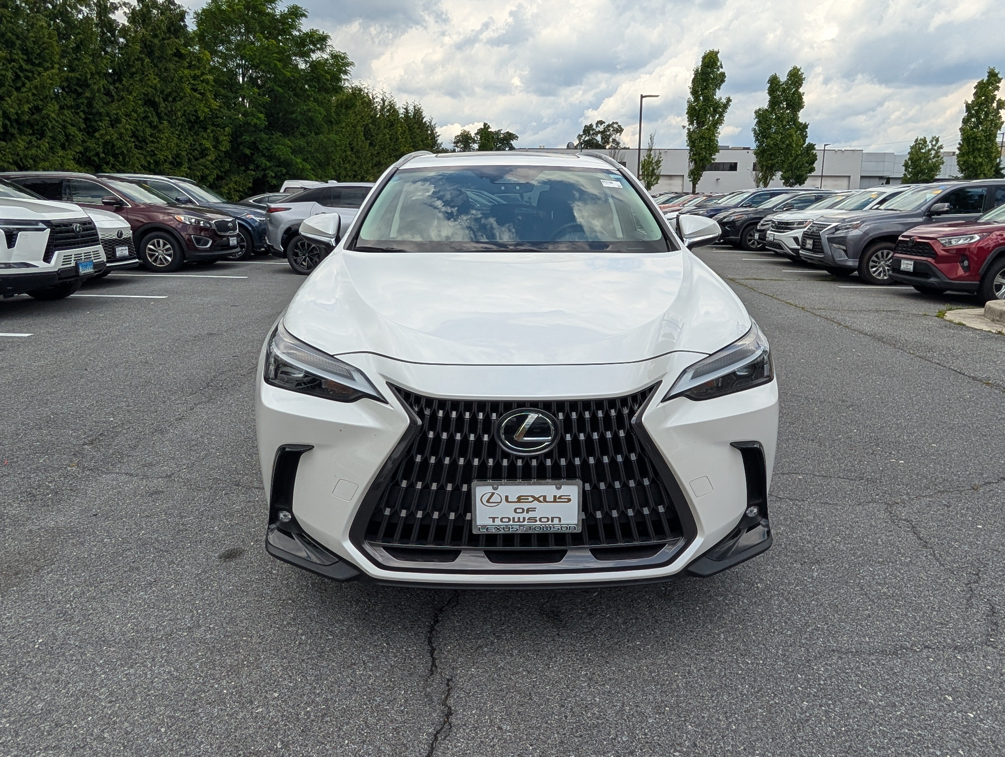 Certified 2024 Lexus NX 350 AWD w/ Cold Area Package image 8