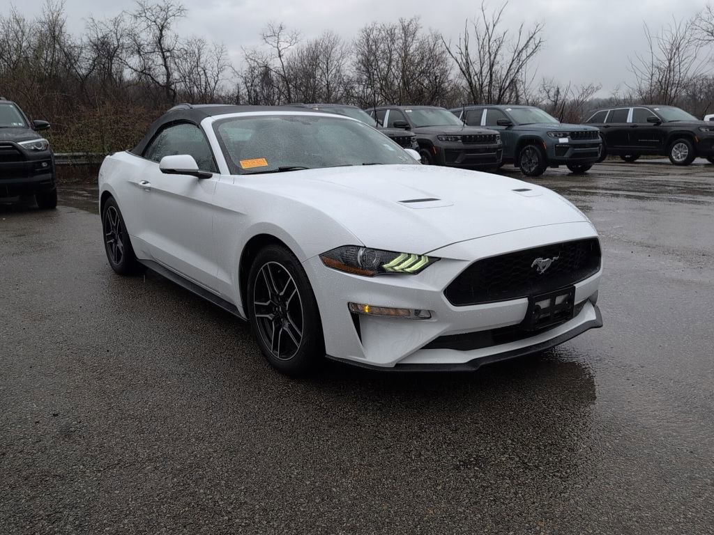 Used 2018 Ford Mustang Premium w/ Equipment Group 201A image 1