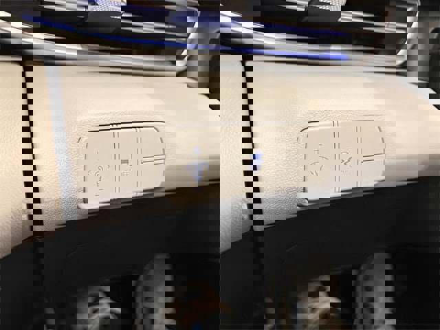 Used 2025 Hyundai Elantra Limited image 19