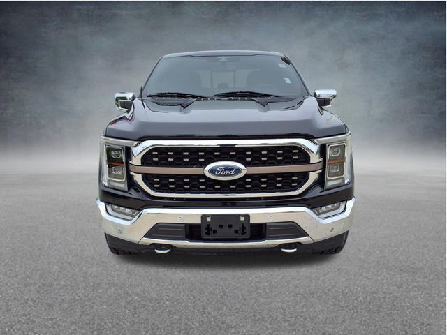 Used 2023 Ford F150 King Ranch w/ Equipment Group 601A High AWD/4WD image 2