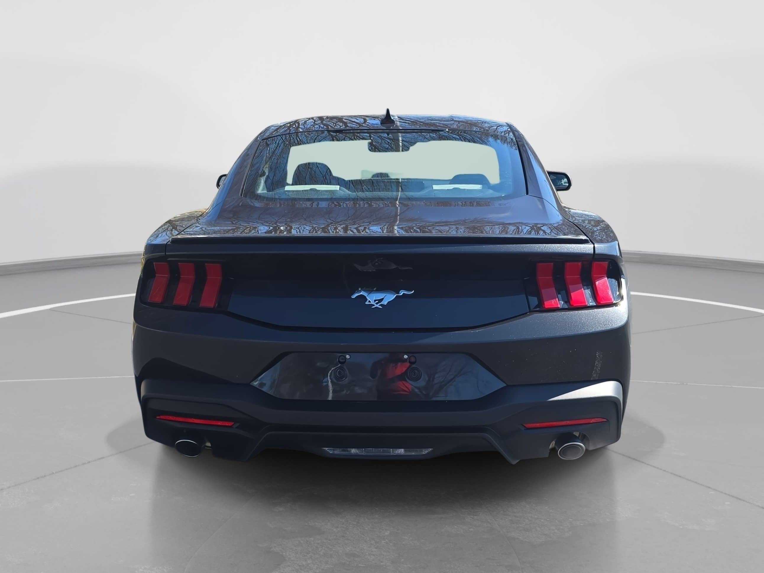 Used 2024 Ford Mustang Premium image 6